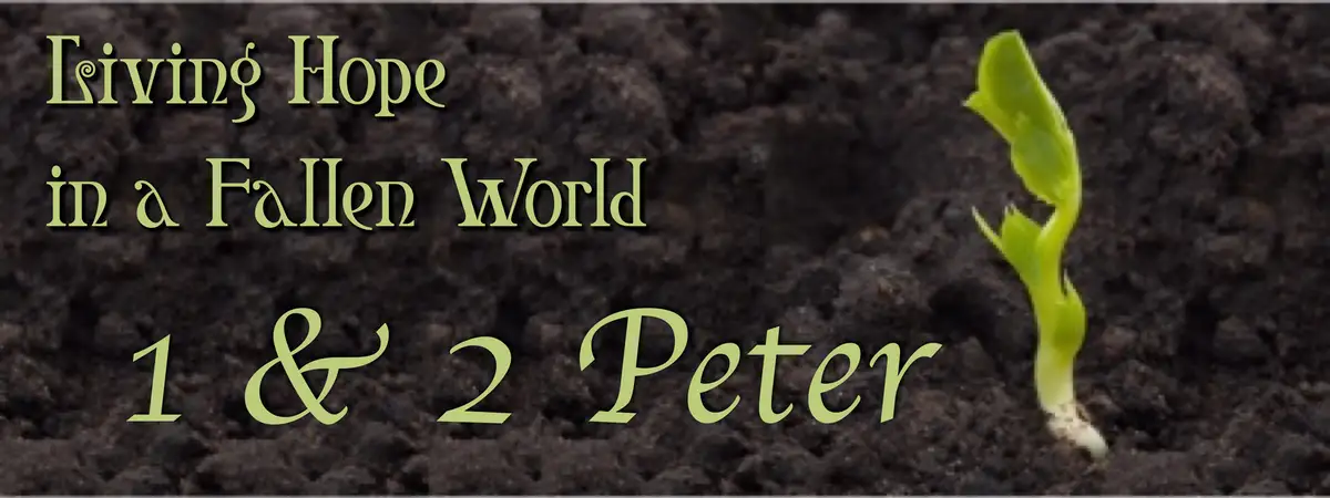 1 and 2 Peter banner