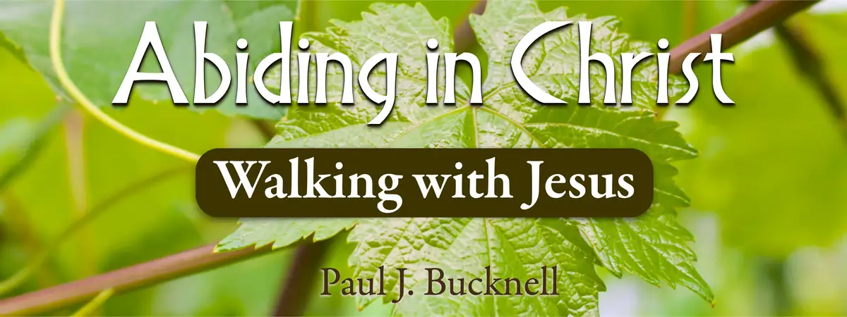 Abiding in Christ banner