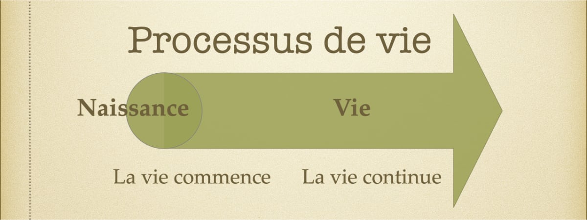 Le début du processus de la vie