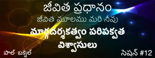 12) సేవ కోసం అధికారం (31–32) — Telugu Life Core session