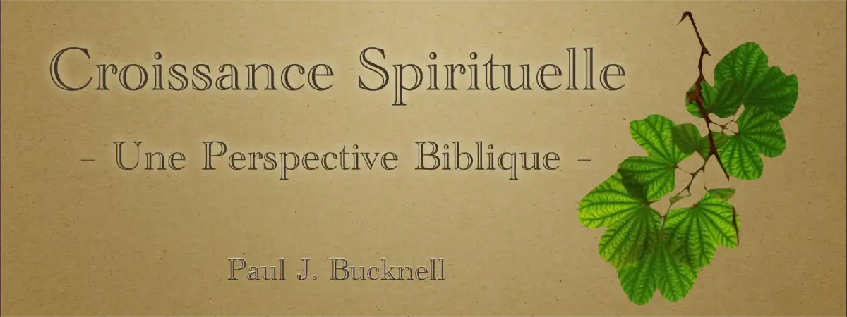 Croissance spirituelle — une perspective biblique