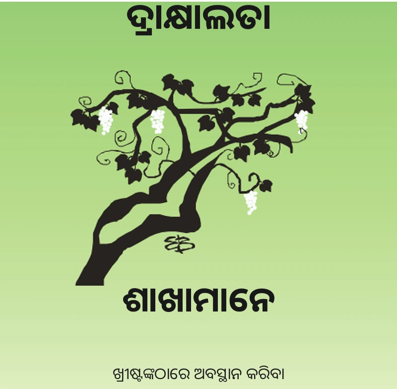ଦ୍ରାକ୍ଷାଲତା ଓ ଶାଖାମାନେ