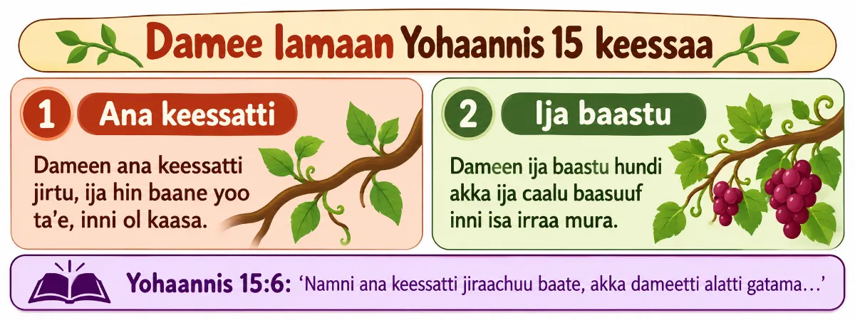 Dameewwan lama: Dameen ija hin godhanne ol kaafama; kan ija godhatu irraa qoramu — Yohannis 15:2
