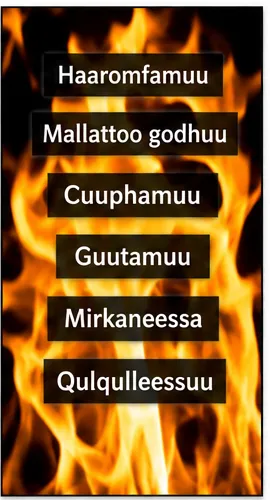Jechoota hojii Hafuura Qulqulluu ibsan