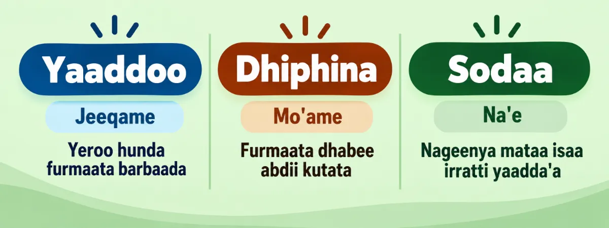 Diinota nagaa sadii — yaaddoo, dhiphina fi sodaa
