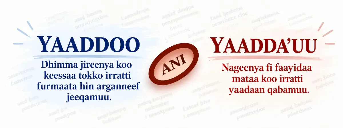 Yaaddoo fi yaaddaʼuu — garaagarummaa isaanii