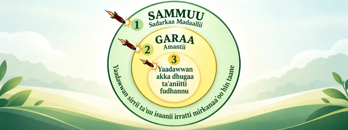 Sammuu, garaa fi yaadawwan — sadarkaa sadii irratti haleellaa yaadawwan yaaddessaa