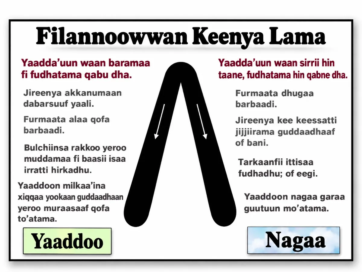 Filannoowwan keenya lama — yaaddoo yookaan nagaa